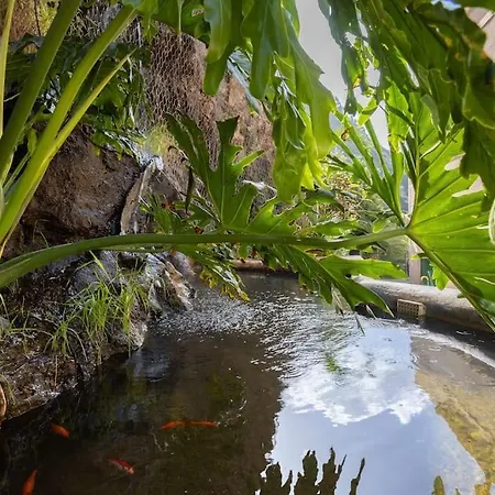 Eden Window To The Sea *